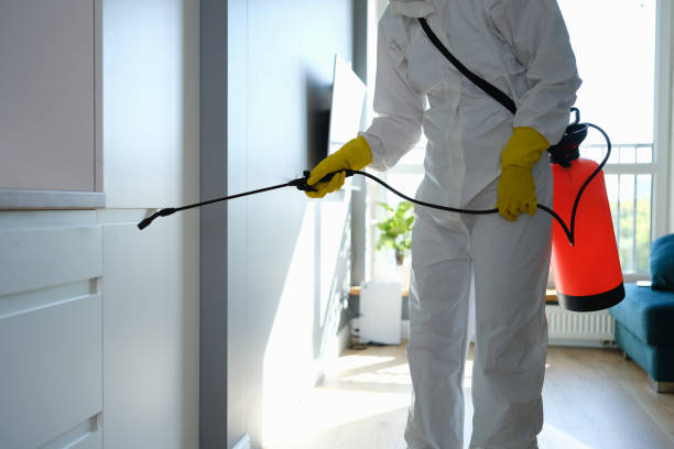 Biohazard Mold Removal in Holmes Beach, FL